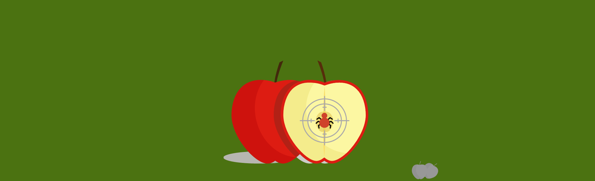 privacy-apple