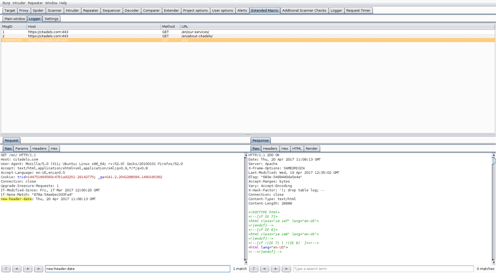 burpsuite-2.png